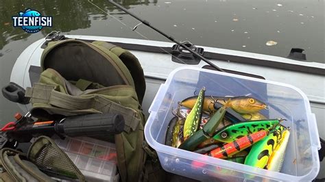 Minnesota Lifetime Fishing License: The Ultimate Angler's .